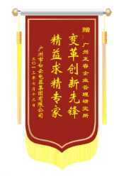 白云電氣集團(tuán)贈(zèng)送正睿咨詢變革創(chuàng)新先鋒，精益求精專(zhuān)家錦旗