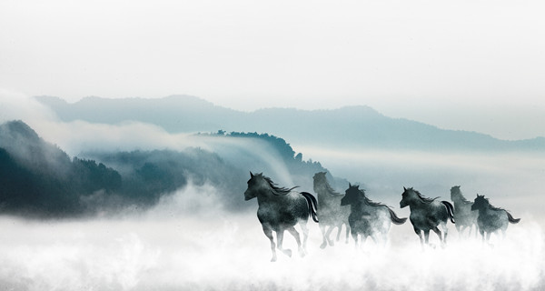 企業(yè)戰(zhàn)略規(guī)劃：為企業(yè)制定全面、長(zhǎng)遠(yuǎn)的發(fā)展戰(zhàn)略
