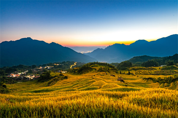 定制化管理咨詢方案：麗水企業(yè)轉(zhuǎn)型升級的鑰匙？