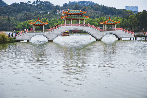 肇慶戰(zhàn)略咨詢公司如何為企業(yè)定制長(zhǎng)遠(yuǎn)發(fā)展規(guī)劃？