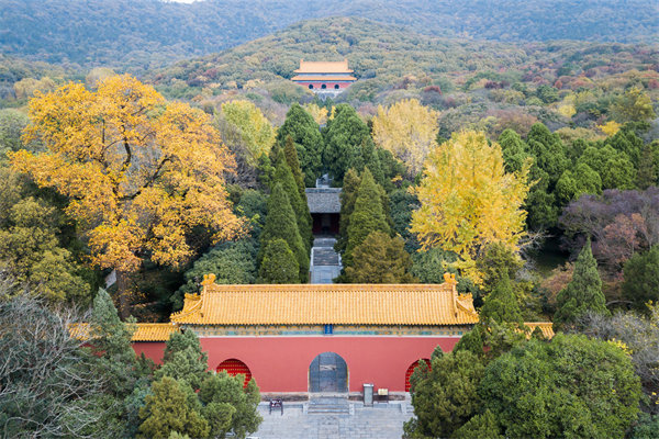 南京供應(yīng)鏈咨詢(xún)公司如何優(yōu)化企業(yè)供應(yīng)鏈流程？