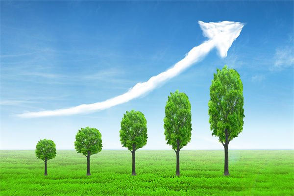 植樹就是植未來，對企業(yè)的戰(zhàn)略規(guī)劃有哪些啟示？