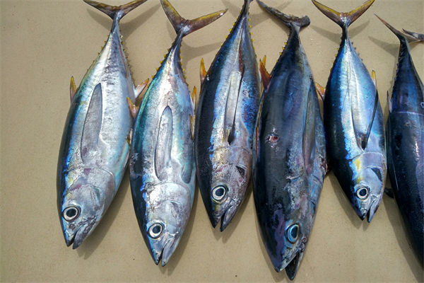 商務(wù)部：將幫助外貿(mào)企業(yè)擴(kuò)寬內(nèi)銷渠道，政策解讀！