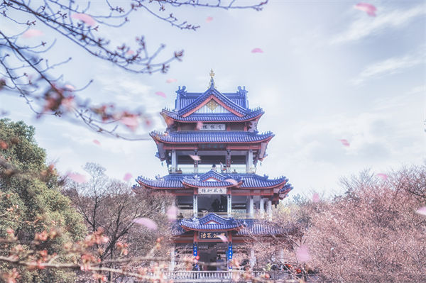 供應(yīng)鏈成本居高不下，無(wú)錫供應(yīng)鏈咨詢(xún)公司如何精準(zhǔn)砍出利潤(rùn)空間？