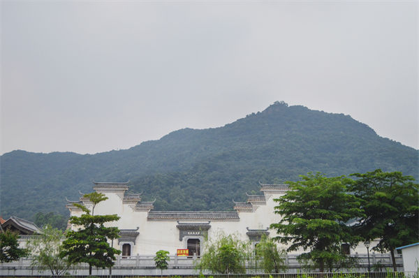 子公司各自為戰(zhàn)內(nèi)耗大，佛山集團(tuán)管控咨詢公司有何整合之道？